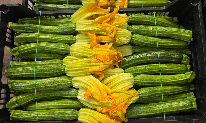 Zucchina romanesca con fiore - Lazio - 2,50 euro al chilogrammo